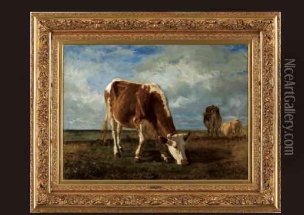 Cowsgrazing Oil Painting - Constant Troyon