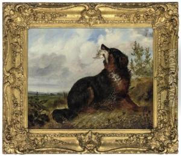 A Gun Dog Retrieving For It's Master Oil Painting - George Armfield