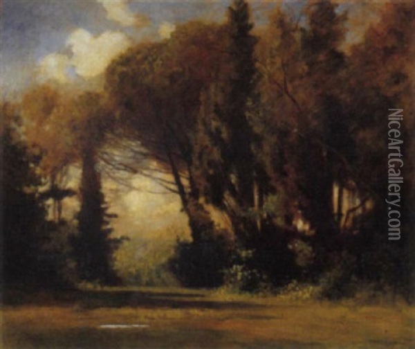 Luci Tra Gli Alberi, 1900 Oil Painting - Carlo Pollonera