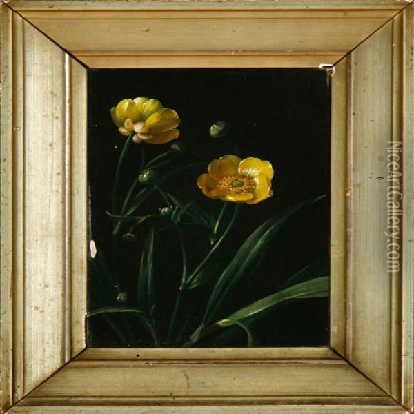 A Buttercup Oil Painting - Johan Laurentz Jensen