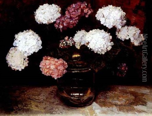 Hydrangeas Oil Painting - Frans David Oerder
