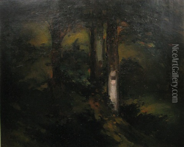 Moon Effect In The Forest Oil Painting - Dumitru Bratescu