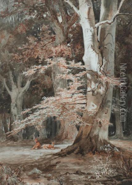 Hirsche Im Wald Oil Painting - Martinus Antonius Kuytenbrouwer