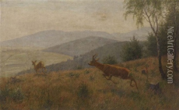 Deer In A Hilly Landscape Oil Painting - Carl Zimmermann