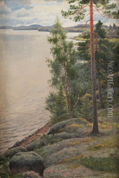 View Over The Lake Oil Painting - Felix Frang-Pahlama