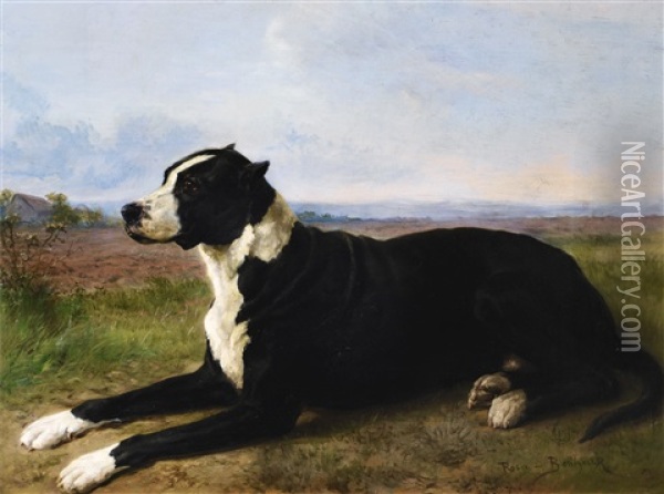 Portrait Of A Mastiff-labrador In A Landscape Oil Painting - Rosa Bonheur