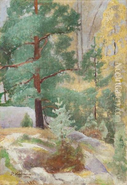 Autumn Landscape Oil Painting - Pekka Halonen