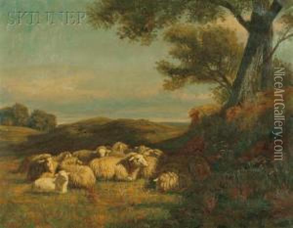 Sheep In A Field Oil Painting - Thomas Harris Robinson