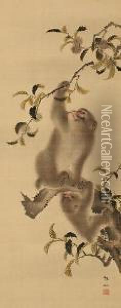 Monkeys In Achestnut Tree Oil Painting - Mori Shusho, Dit Sosen