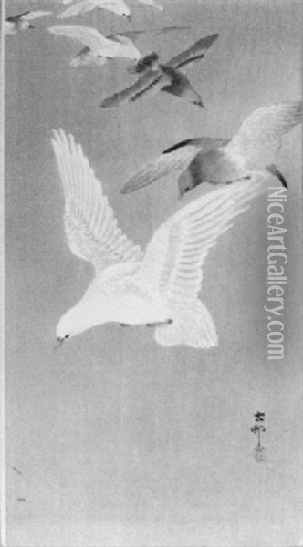 A Flight Of Doves Oil Painting - Ohara Shoson