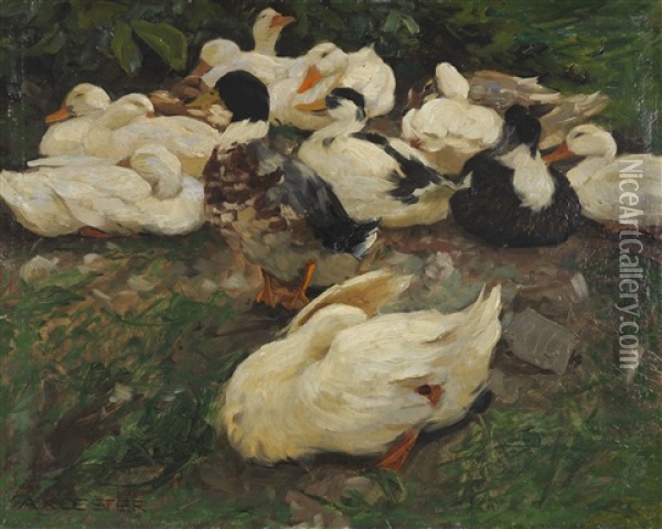 Erwachende Enten (entenfamilie) Oil Painting - Alexander Max Koester
