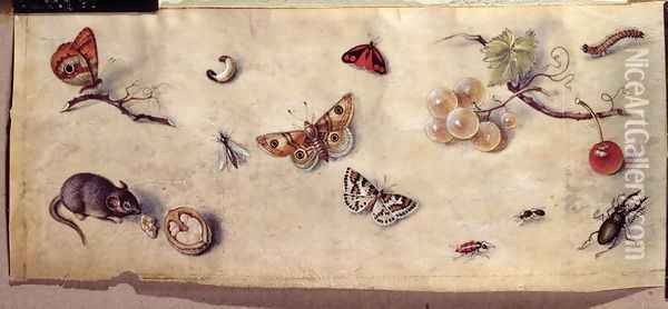 A Study of Various Insects Fruit and Animals 2 Oil Painting - Jan van Kessel