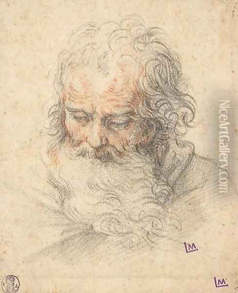 The head of a bearded man looking down Oil Painting - Italian School