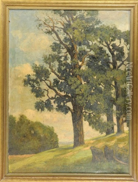 Landschaft Mit Knorrigem Baum Oil Painting - Heinrich Steinhagen