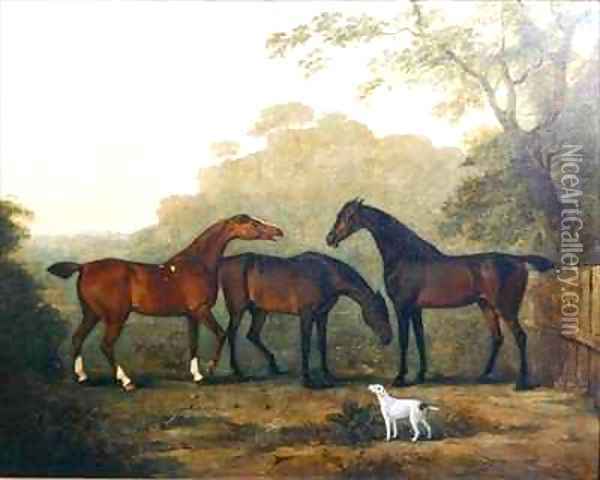 Hunters at Grass Oil Painting - John Snr Ferneley