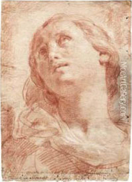La Vergine Maria Oil Painting - Ubaldo Gandolfi