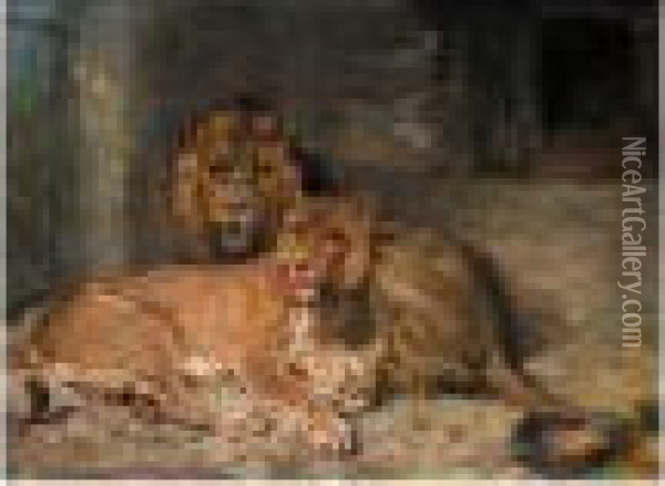 Lion And Lioness Oil Painting - Paul Friedrich Meyerheim