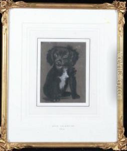 A Portrait Of A Black Puppy Oil Painting - John Valentine