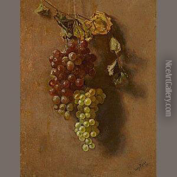 Grapes Suspended Oil Painting - Guy Rose