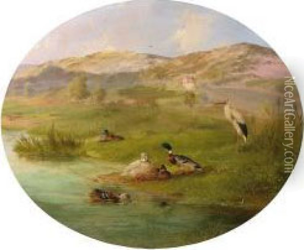 Storch Und Enten Am Teich Vor Schlosshintergrund Und Hugellandschaft Oil Painting - Carl Jutz