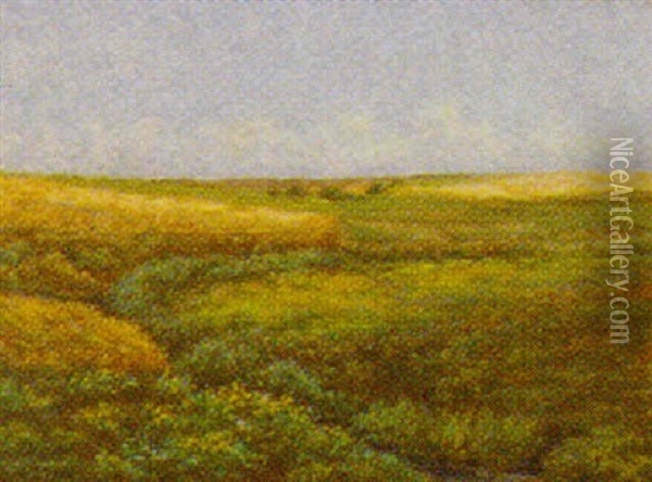 Landskab Fra Varde Adal Oil Painting - Niels Pedersen Mols