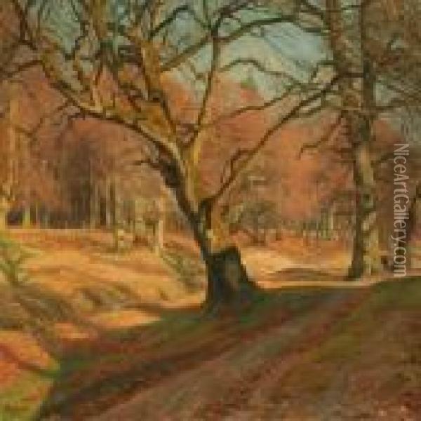 Autumn Forest Withsunshine Oil Painting - Emil Winnerwald