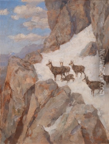 Gamsen Im Hochgebirge Oil Painting - Hugo Engl