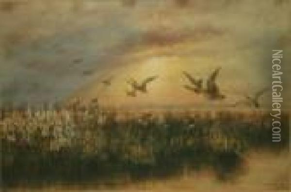 Mallards Over Strangford, Co Down Oil Painting - Andrew Nicholl