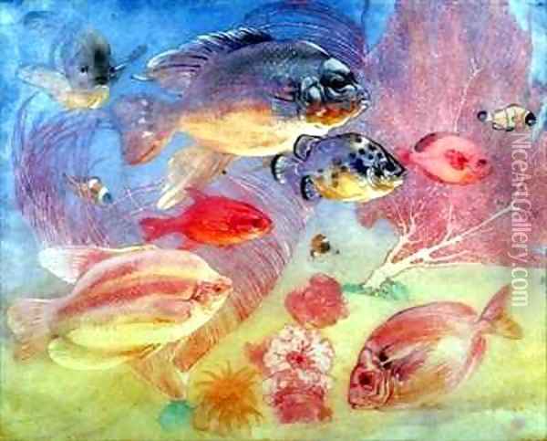 Tropical Fish Oil Painting - Charles Maurice Detmold