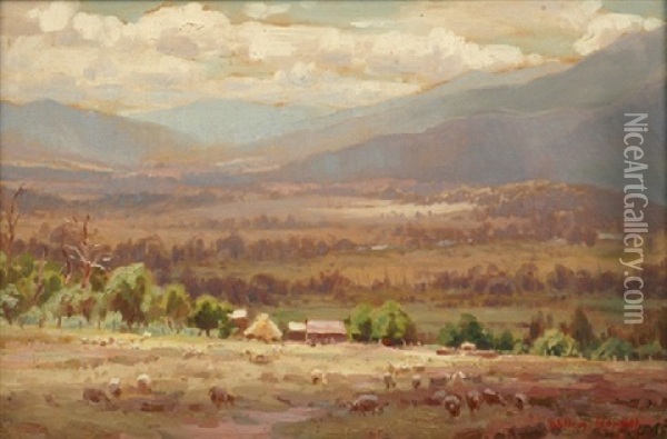 Grazing Sheep Oil Painting - William Nicholas Rowell