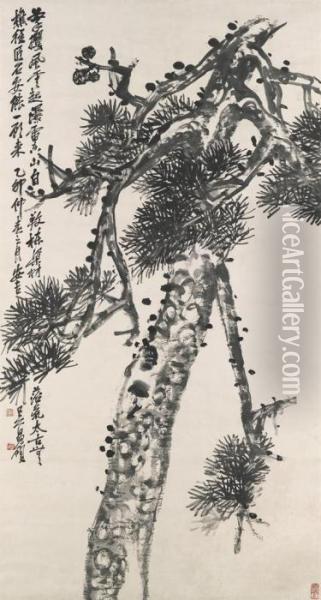 Pine Of Longevity Oil Painting - Wu Changshuo