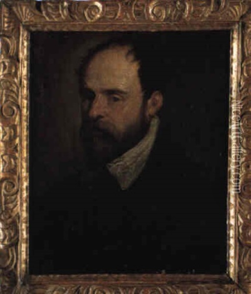 Portrait Of A Bearded Gentleman Oil Painting - Jacopo dal Ponte Bassano