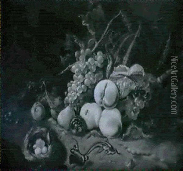 Nature Morte De Fruits, Nid, Lezard Et Insectes Oil Painting - Rachel Ruysch