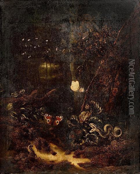 A Forest Floor Still Life With A Snake, Two Butterflies And A Lizard Oil Painting - Otto Marseus Snuff. Van Schrieck