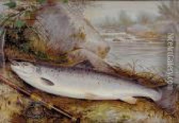 Fish Still Life Oil Painting - Samuel A. Kilbourne
