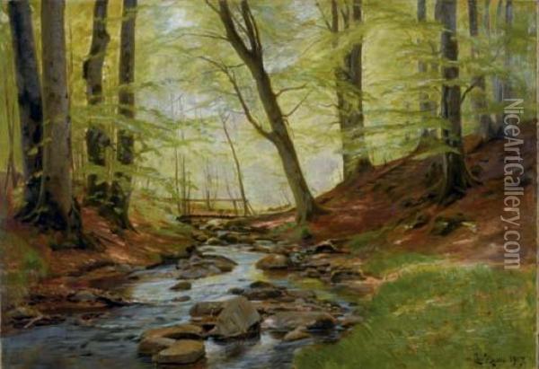 Brook In A Forest Oil Painting - Christian Zacho