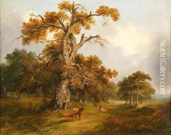 Deer Inkimberley Park Oil Painting - Alfred Priest