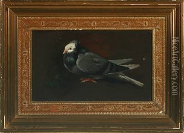 A Pigeon Oil Painting - Adolf Heinrich Claus Hansen