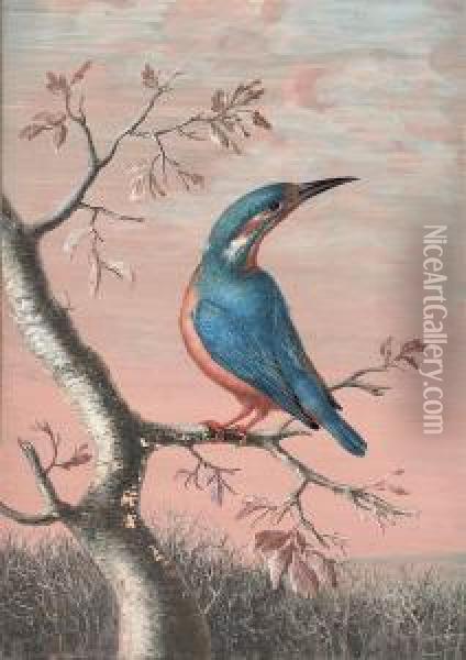 A Kingfisher On A Branch Oil Painting - Christophe-Ludwig Agricola