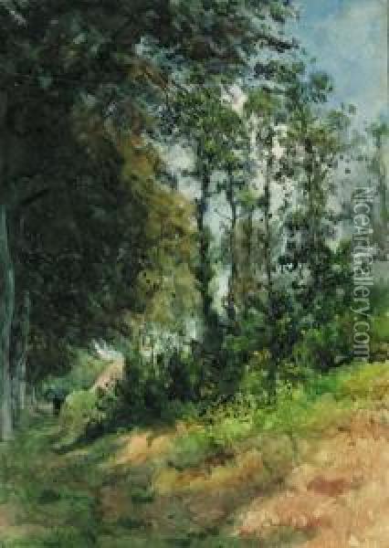 Trees Along A Lake Oil Painting - Julius Jacobus Van De Sande Bakhuyzen
