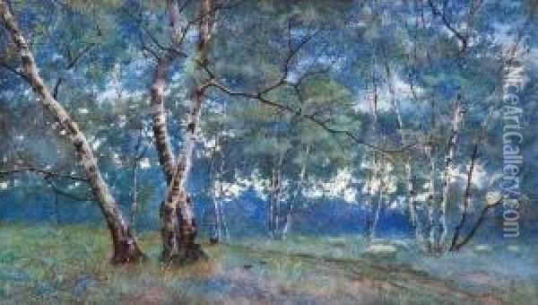 A Silver Birch Wood Oil Painting - Lexden Lewis Pocock