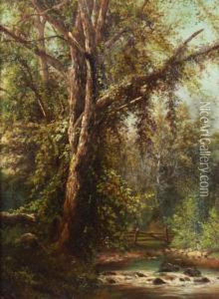 View On The Croton River, Perry Carmel Putnam Co., Ny Oil Painting - John Clinton Ogilvie