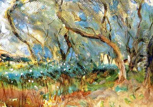 Landscape 1909 Corfu Oil Painting - John Singer Sargent