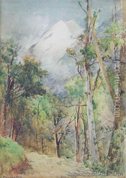 Mt Cook From Governor's Bush Oil Painting - William Menzies Gibb