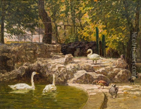 Enten Und Schwane Im Kleinen Teich, Schonbrunn Oil Painting - Stefan Simony