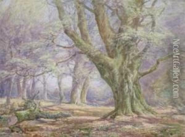 New Forest Scene Oil Painting - Frederik Golden Short