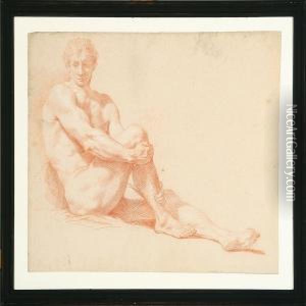 A Collection Of Nine Academy Drawings Of Male Nudes Oil Painting - Johan Martin Schuster