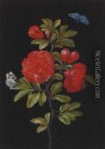 Still Life Of A Rose And Butterflies Oil Painting - Barbara Regina Dietzsch
