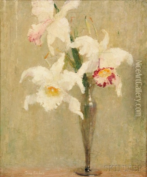 White & Pink Orchids Oil Painting - Anna S. Fisher