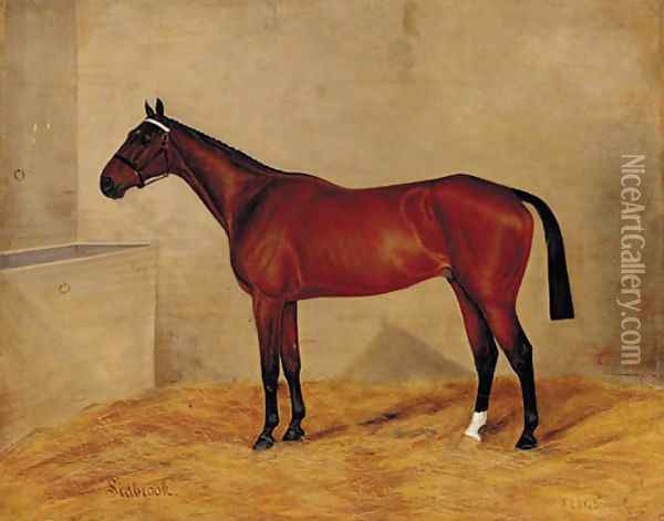 A bay horse in a stable Oil Painting - G. Stirling-Brown